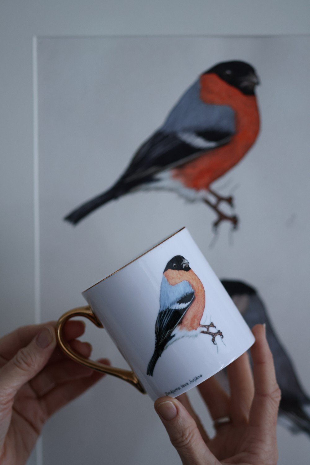 Pavāru mājas porcelāna krūze ar apzeltijumu - Svilpis