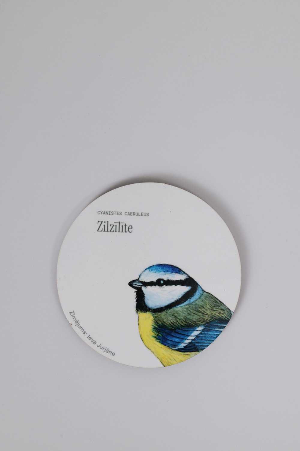 Krūzes paliknis -  Zilzīlīte