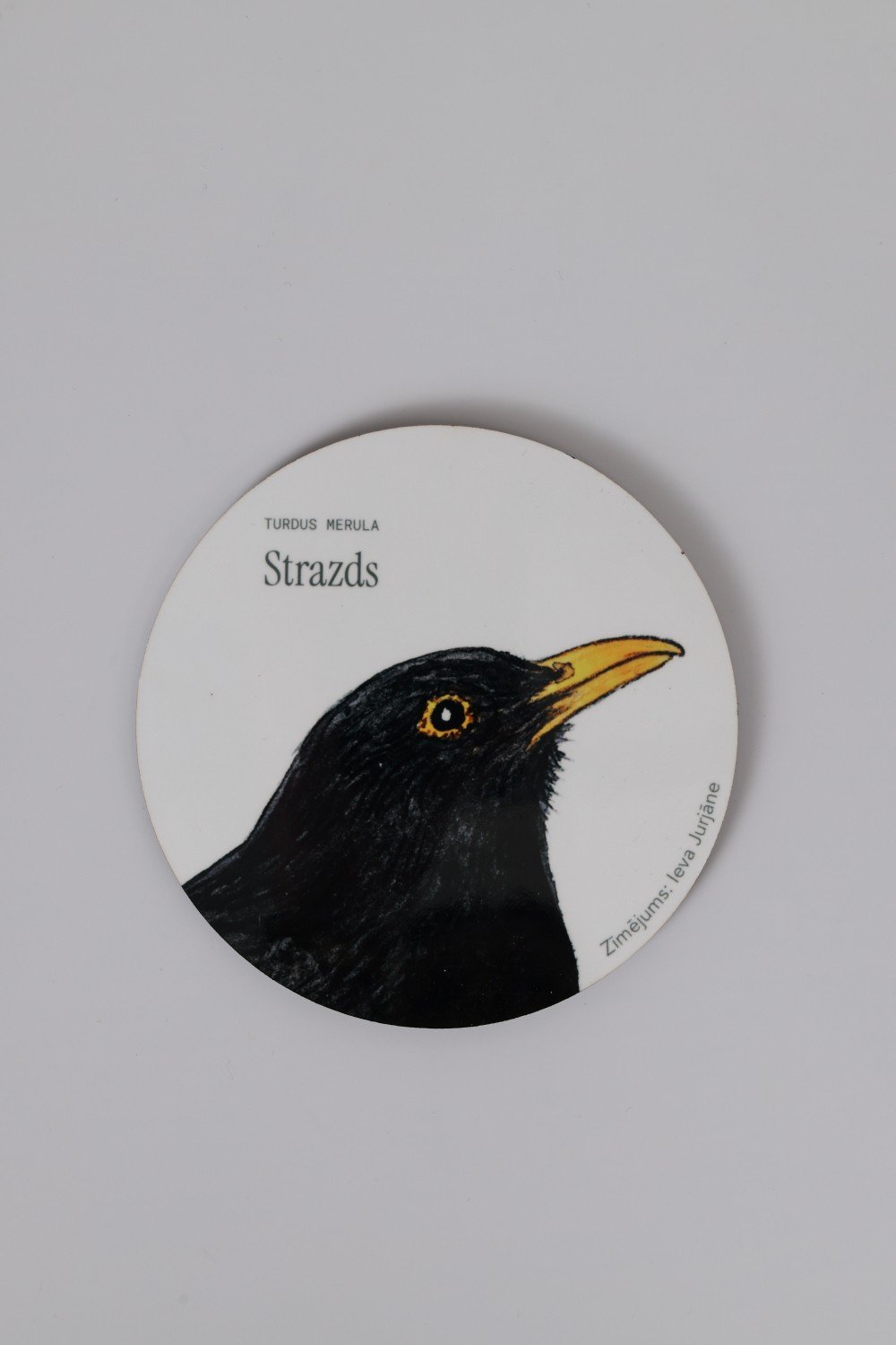 Krūzes paliknis - Strazds
