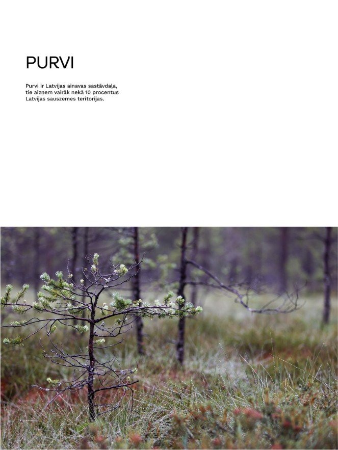 Grāmata "Pavāru māja Līgatnē"